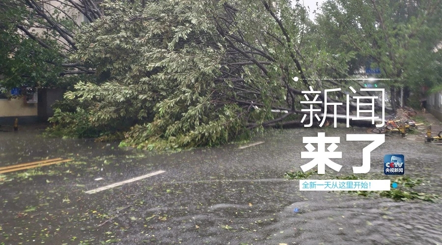 “山竹”怒過(guò)，高空塔吊你還好嗎？